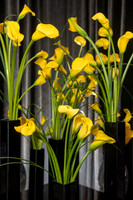 PillerDecor0007