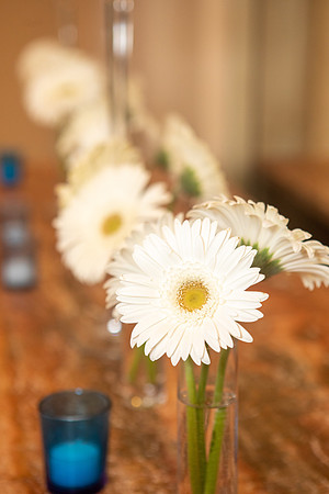 DaisyMain0203