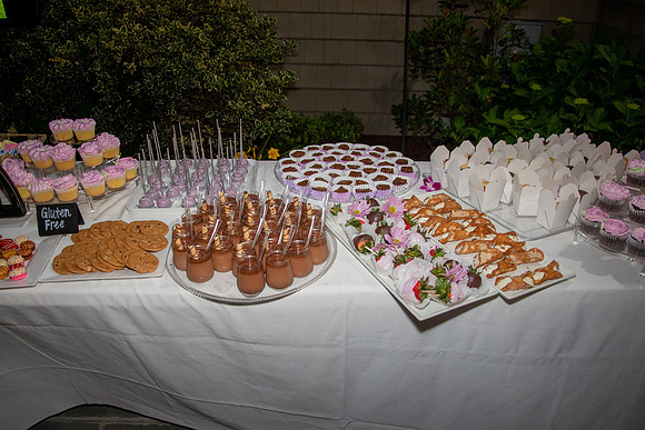 LSingerEParty-0267