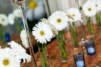 Daisy2nd-0012