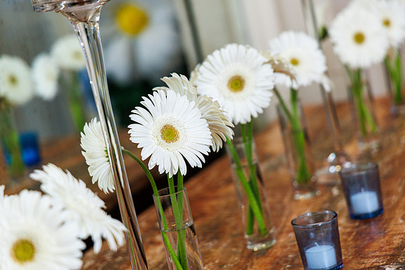 Daisy2nd-0012