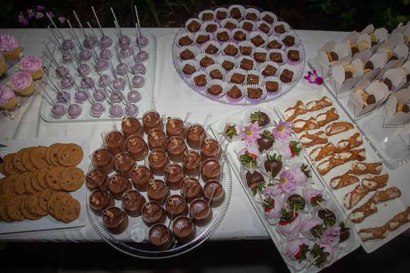 LSingerEParty-0269