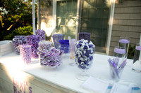 LSingerEParty-0006