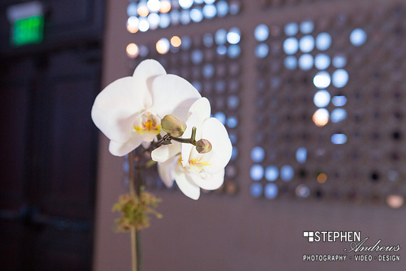 Mashaal-Main-0121